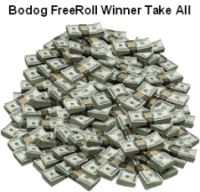 US Accepted Freeroll at Bodog All Set
